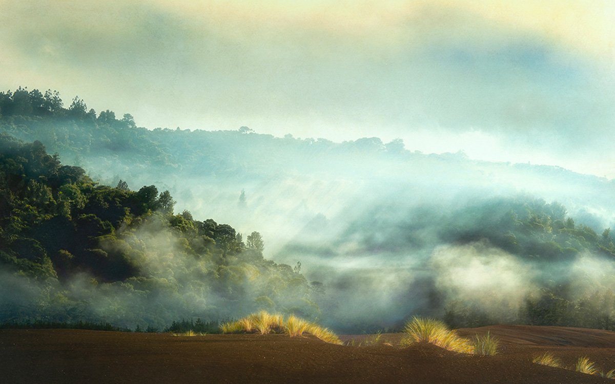 In A Space Under The Sky – Jaimie Ladysh